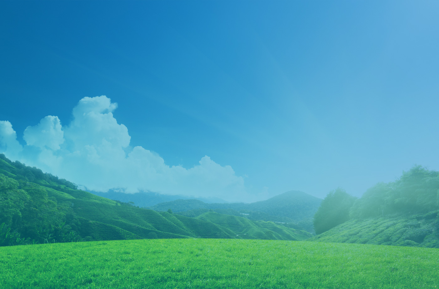 Parallax Background Image